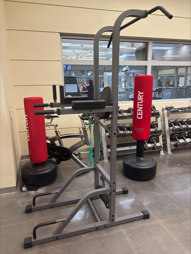 Mark Fitness Dip/Pullup/Leg Raise Stand XM-4432