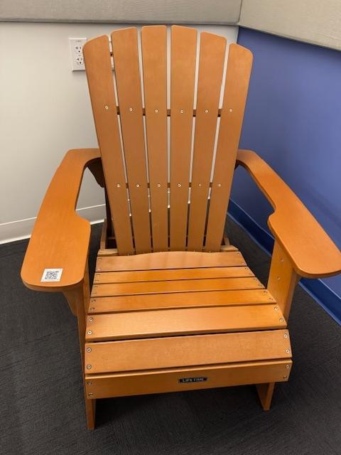 LIFETIME LOUNGE CHAIR