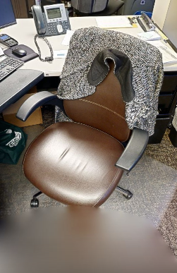 Task Chair - Brown