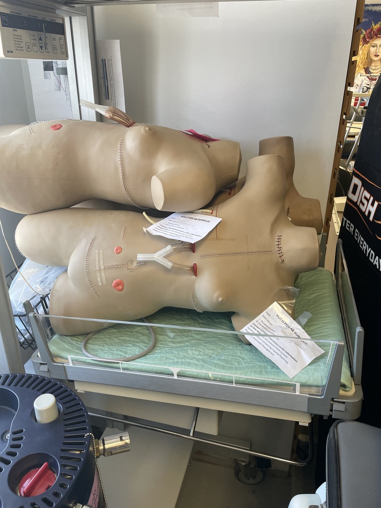 Surgical Sally Bandaging Simulator