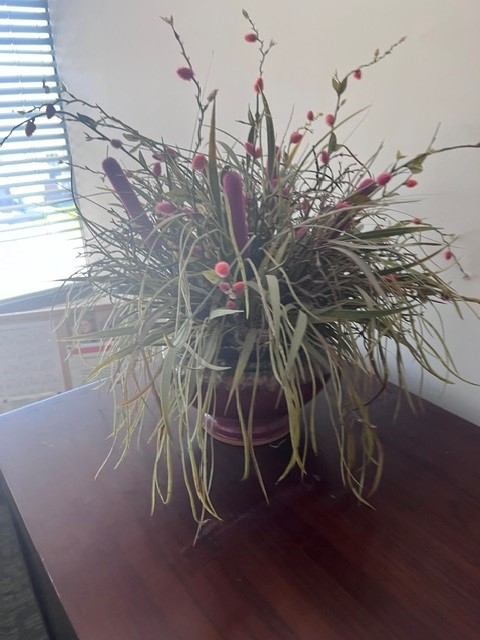 Plant- small