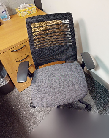 Task Chair
