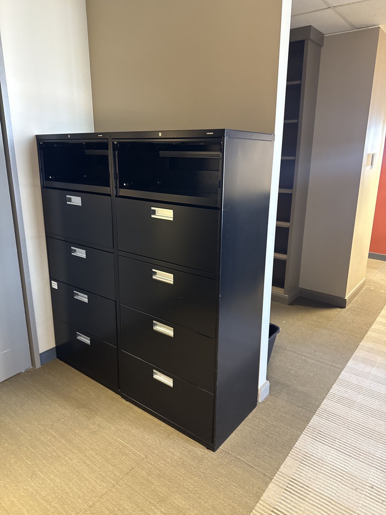 30 x 19 x 66 1/2 FILE CABINETS