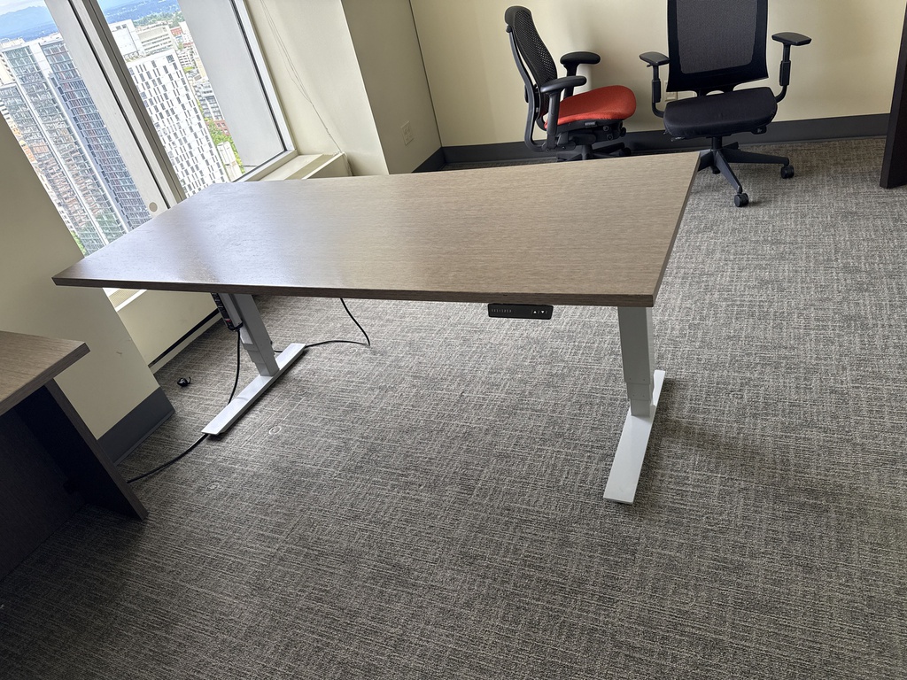 72X30 ADJUSTABLE DESK