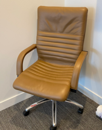Conference Chairs