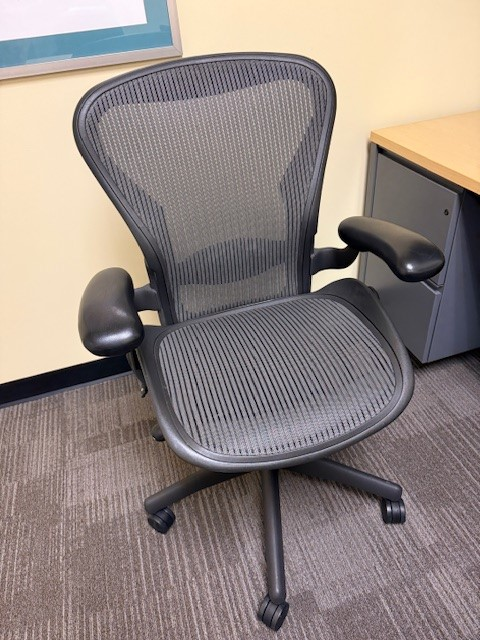 Aeron Task Chair - Large