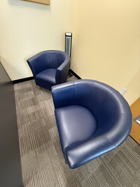 Blue Lounge Chairs