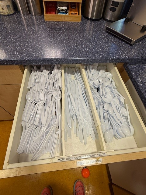 Drawer with Plastic Utensil Dividers