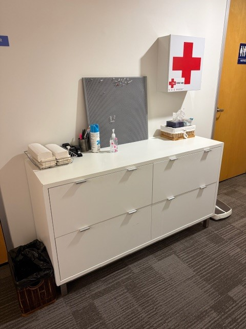 Large First Aid Box