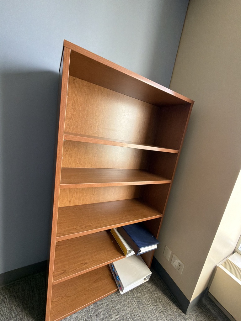 36x13x66 BOOK CASE
