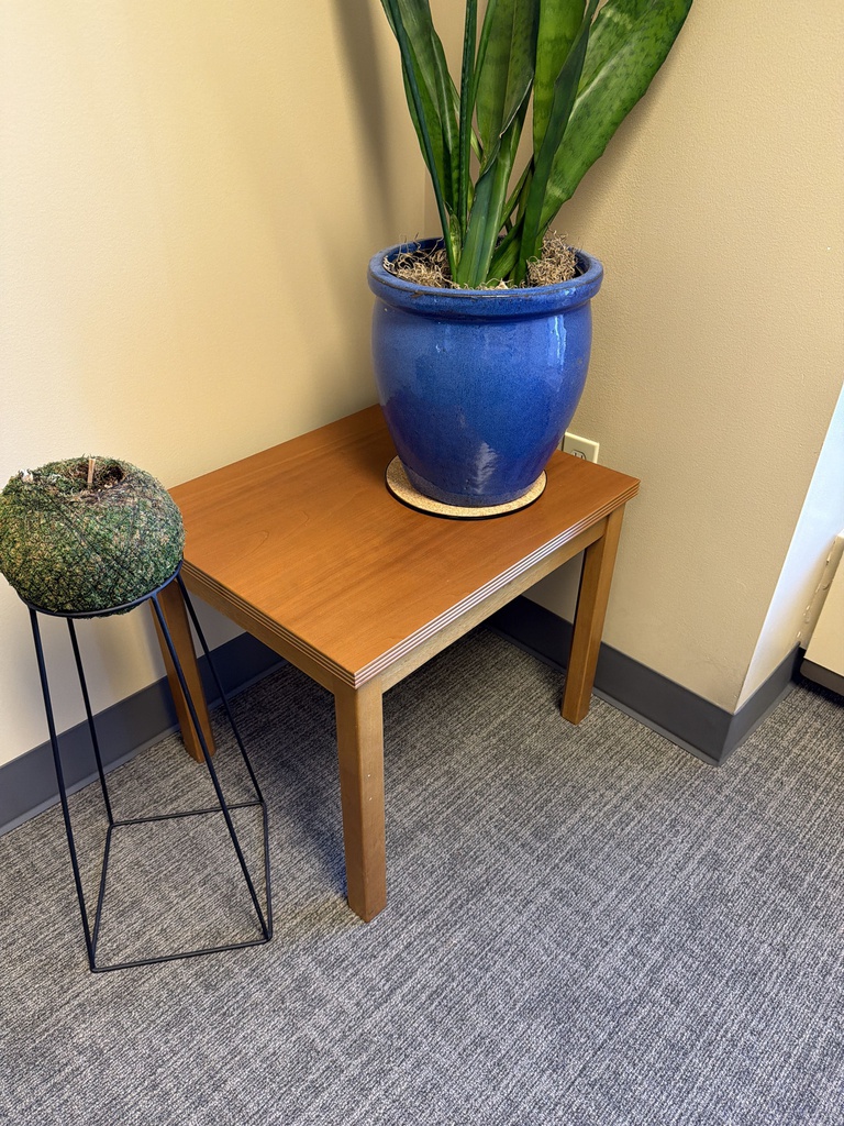 24x20x 20 1/4 SMALL TABLE