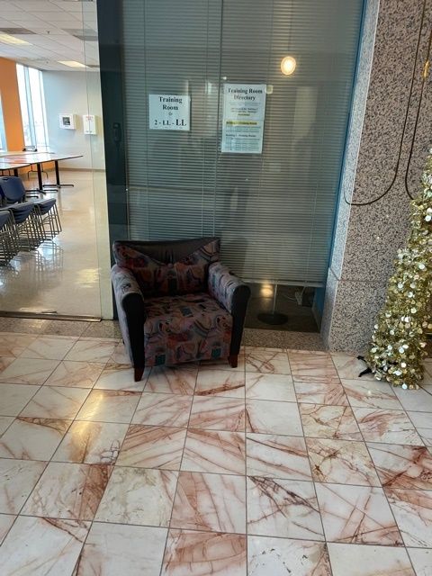 Patterned Lounge Chair