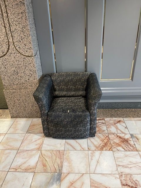 Patterned Lounge Chair