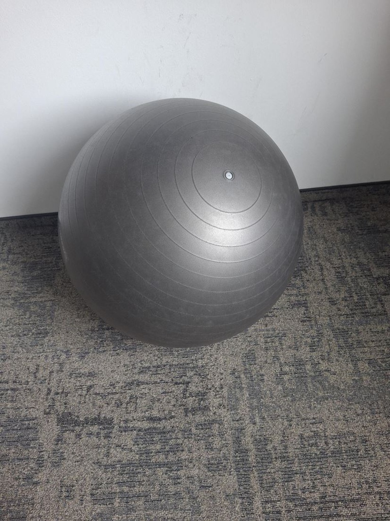 Gymnastic ball - Grey