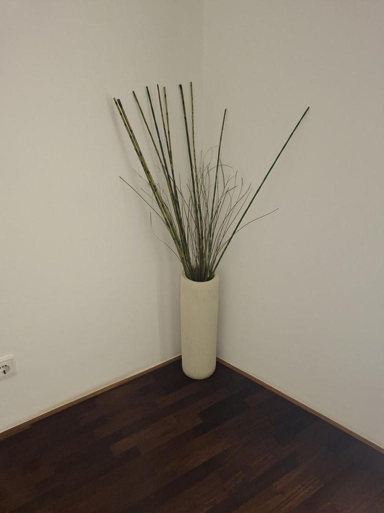 Vase &amp; Plant (dry)