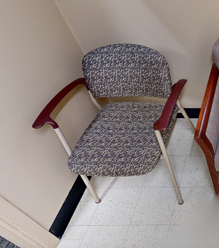 Paisely guest chair