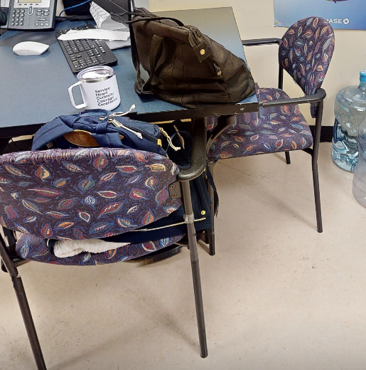 Paisley guest chair