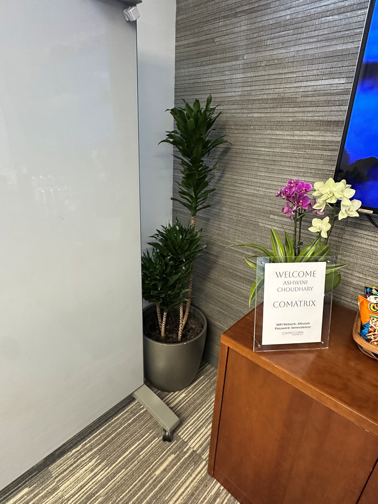 Plant 