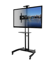 Mobile TV Cart (photo representation)
