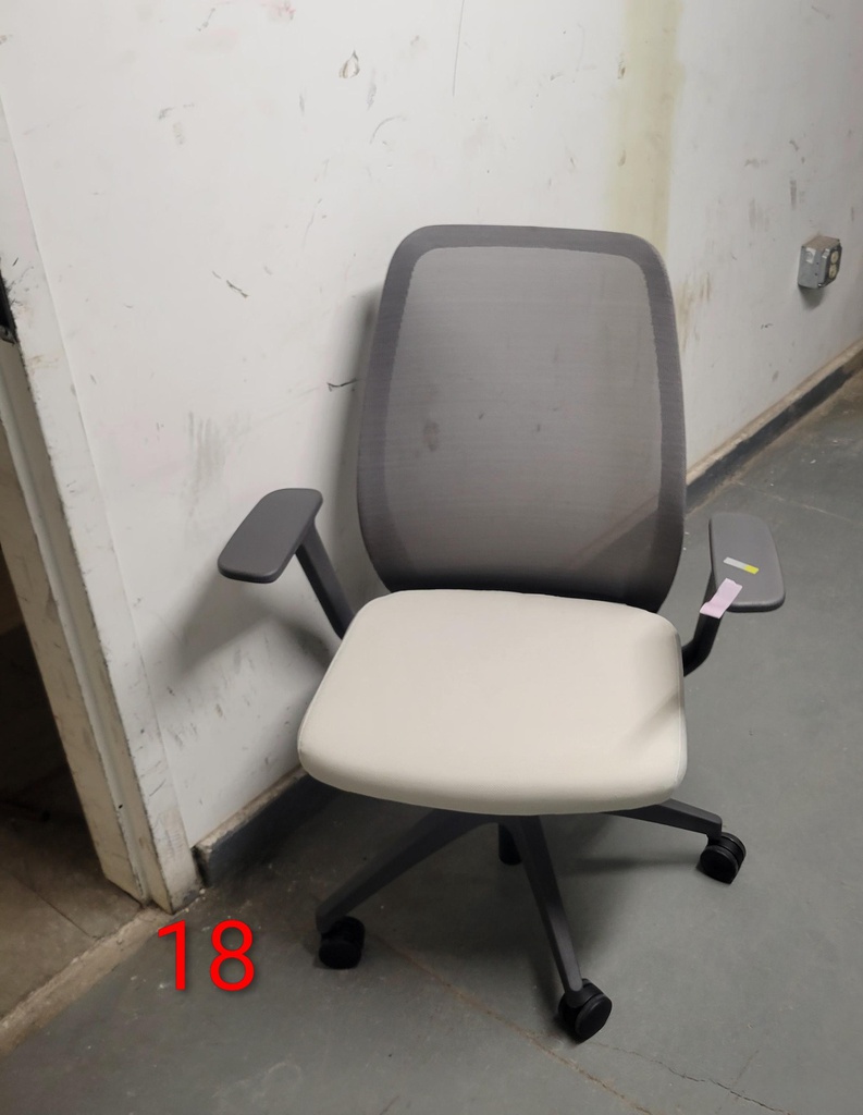 Gray Mesh Cream Cushion Task Chair