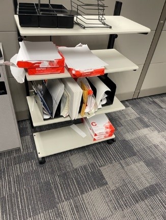 Printer Cart