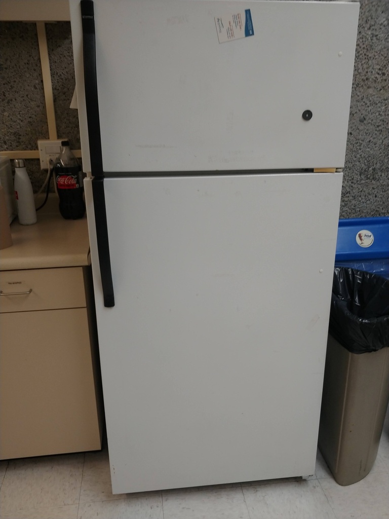 Fridge - Full Sized