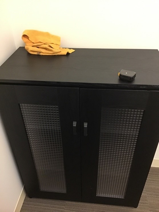 Two Door Shelf  (31”W x 41”H x 18"D)