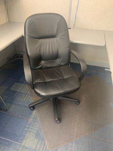 Task Chair - with Arms