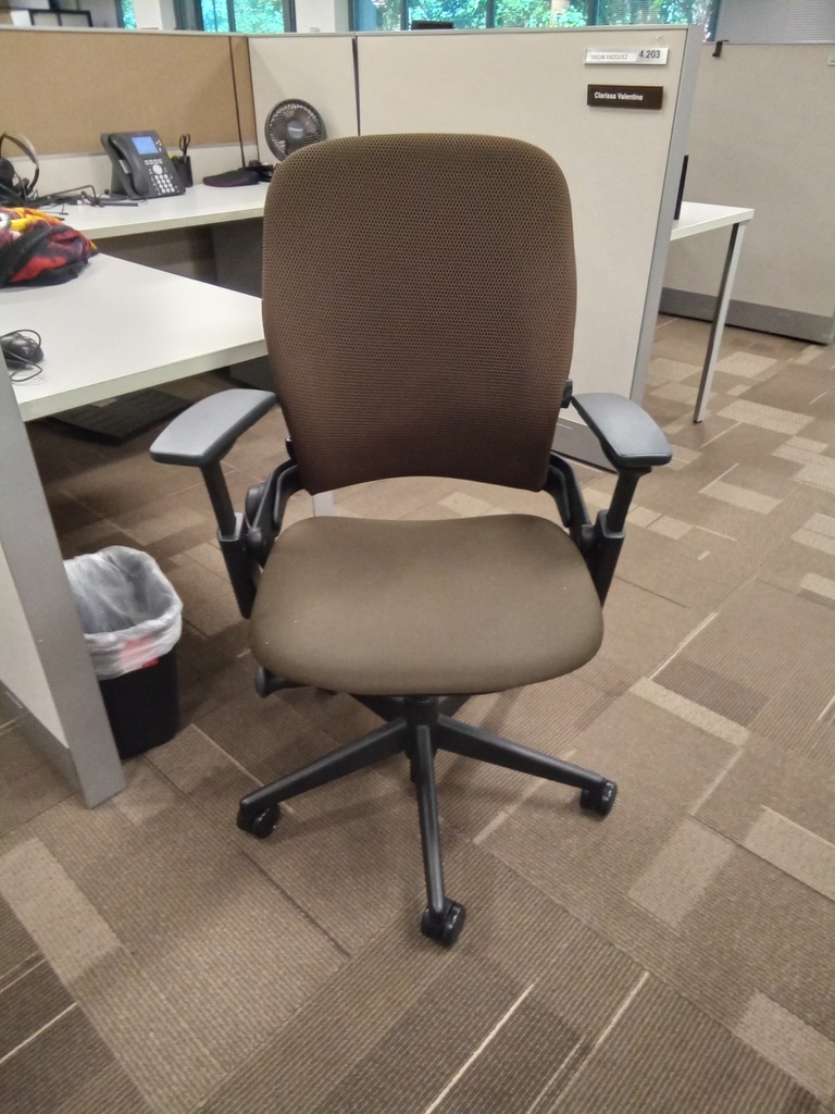 Steelcase Leap Chair