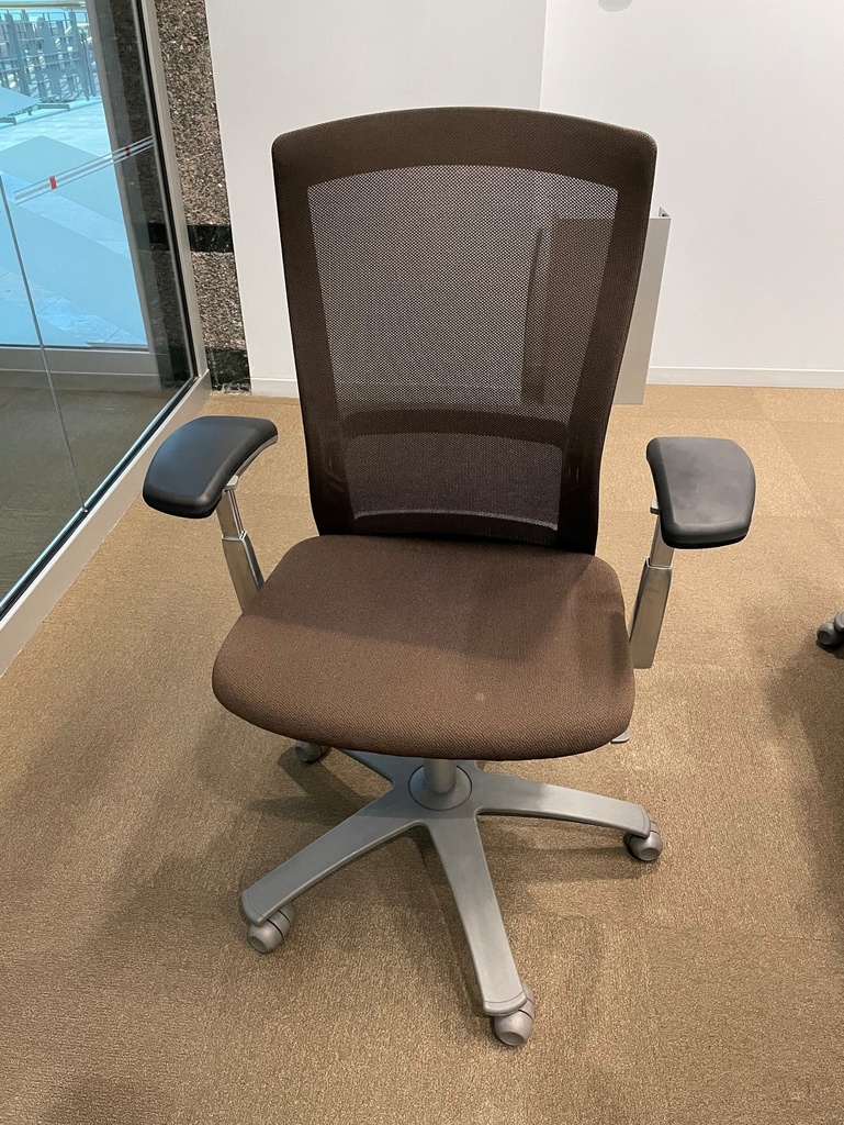 Task Chair - with Arms