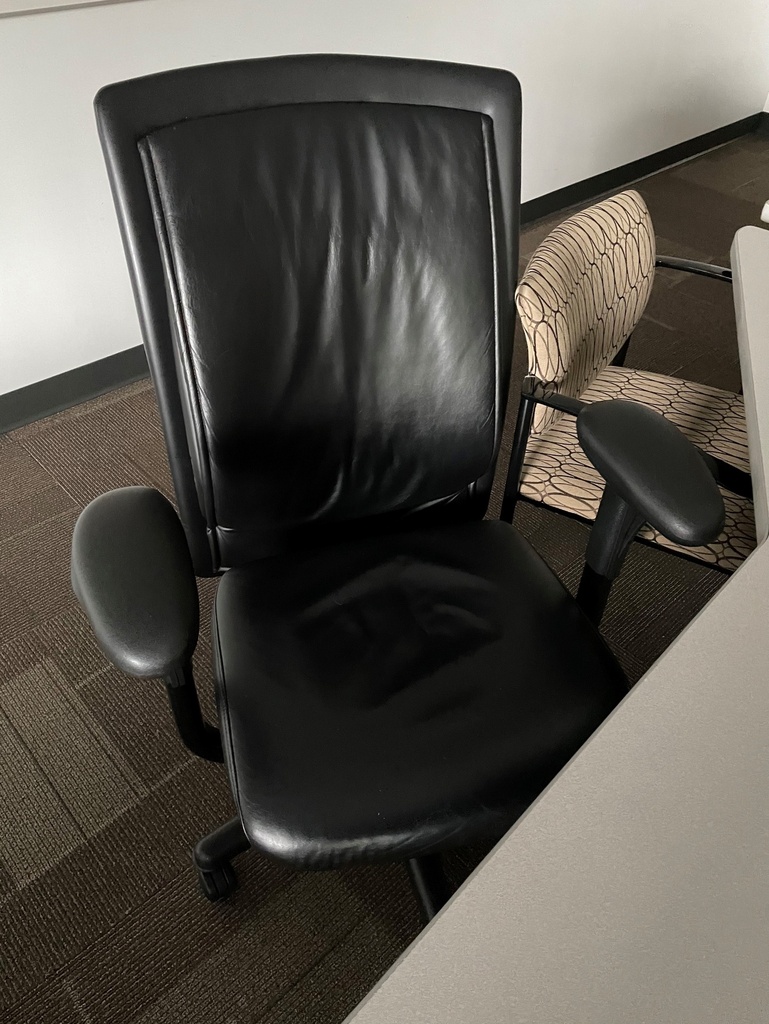 Task Chair - with Arms