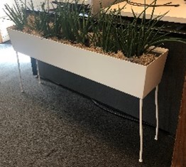 Rectangular Planter?