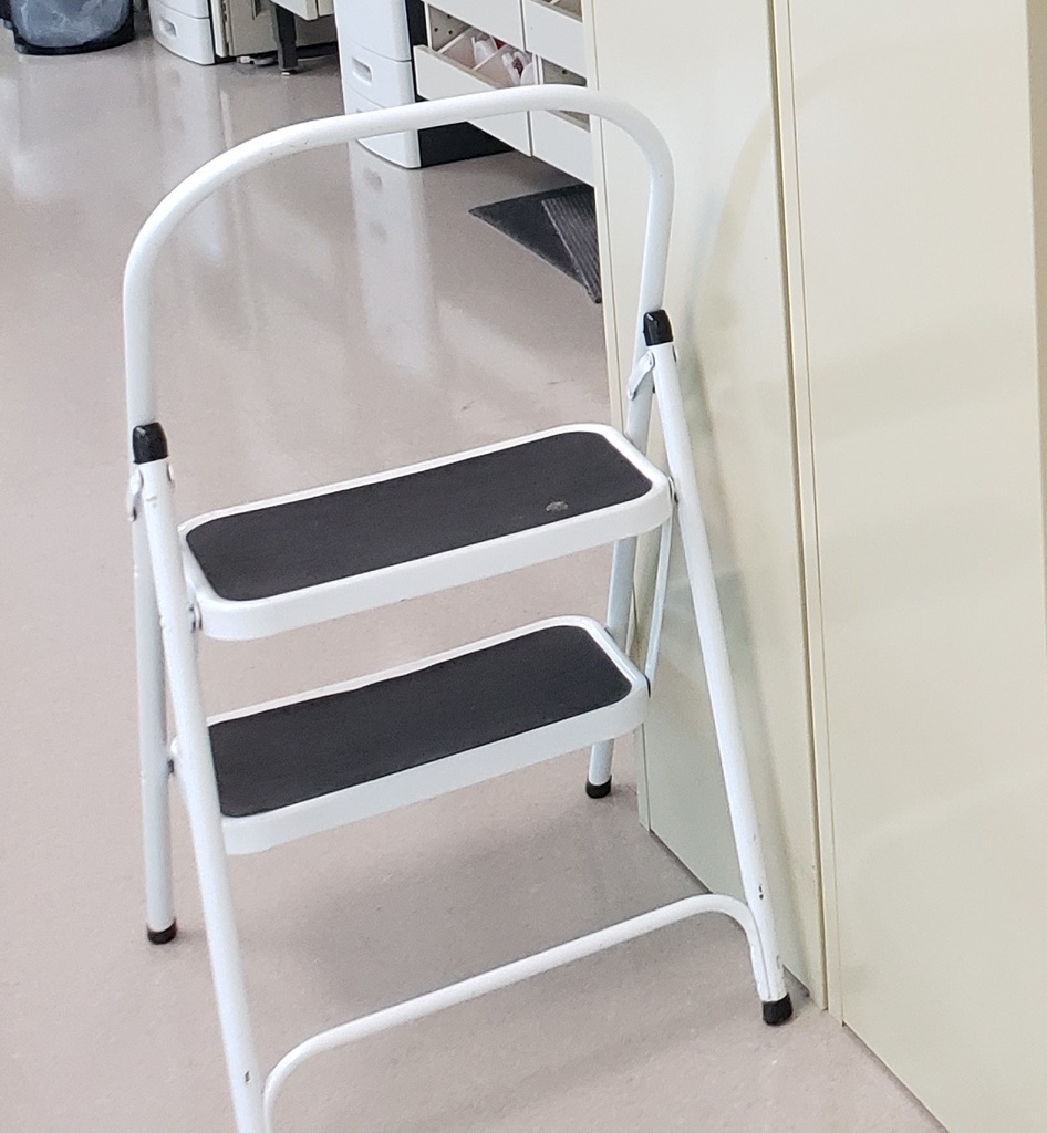 2-Step ladder