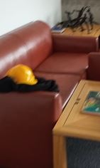 Armchair, brown vinyl | Sillón, vinilo marrón