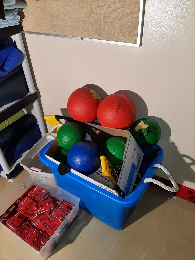 Medicine Balls