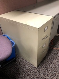 [#D7-9] vertical, 2 drawer filing cabinet tan