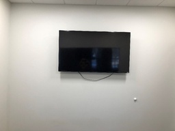 [#H16-16] TV(monitor)