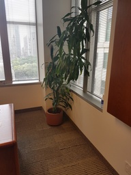 [#J5-44] Plants (Photo Representation)