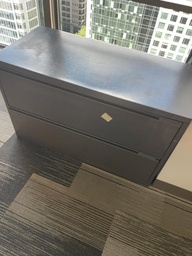 [#D6-1] 2 DRAWER FILE - GREY