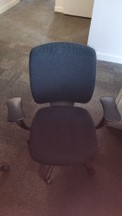 [#B13-177] Amicus Task Chairs