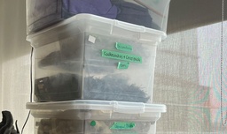 [#I2-65] Bin of plastic cockroaches and centipedes