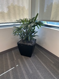 [#J5-1424] Plants