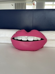[#00-5187] Lip Pillows