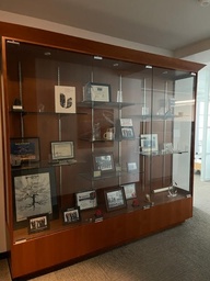 [#D6-50] 8’ GLASS CABINET