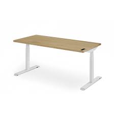 [#E10-12] Sit/Stand desks **photo representation**