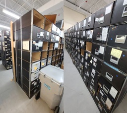 [#D14-131] Cardboard file box holder