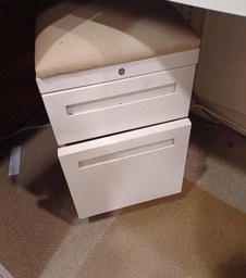 [#D16-53] Mobile Peds