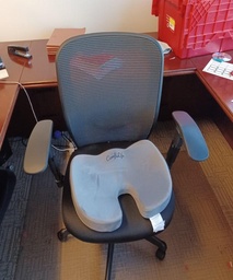 [#B13-100] Mesh Back Chairs