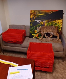 [#B12-108] Tan Chair