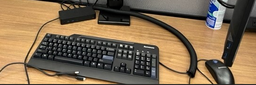 [#H11-5] Mice
